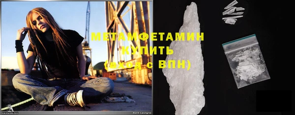 прущие грибы Новосибирск