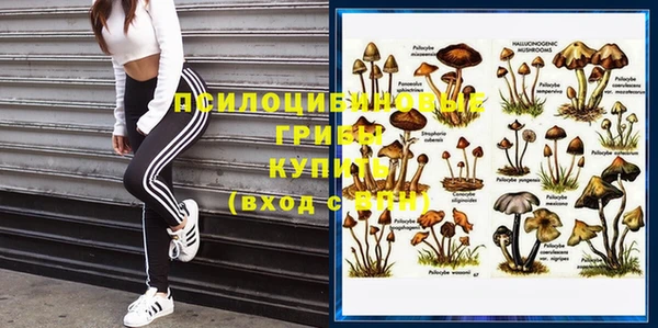 Альфа ПВП Санкт-Петербург