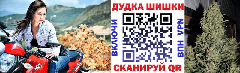 Купить где  Облучье  МАРИХУАНА VHQ 